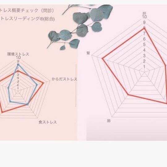 ストレスグラフ