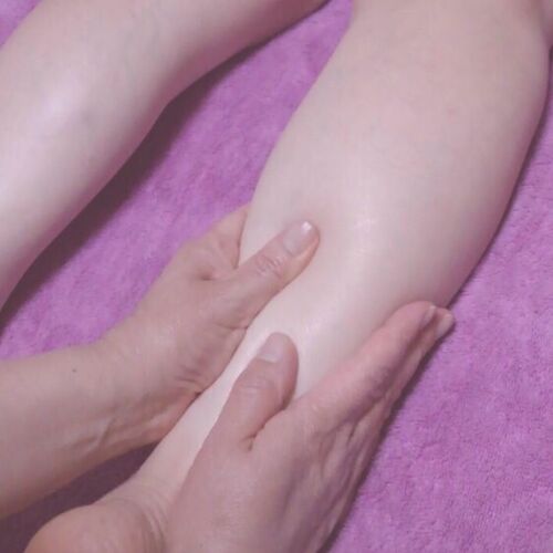 S__44245048